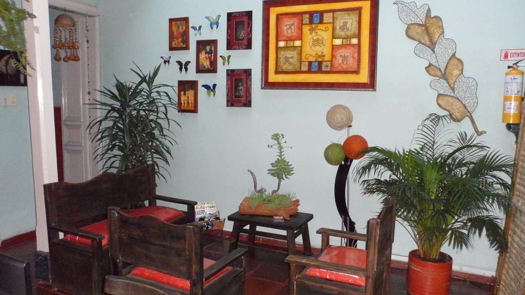 Zohar Hostel 보고타 객실 사진